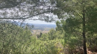 Mid conference field trip monte arci sardegna